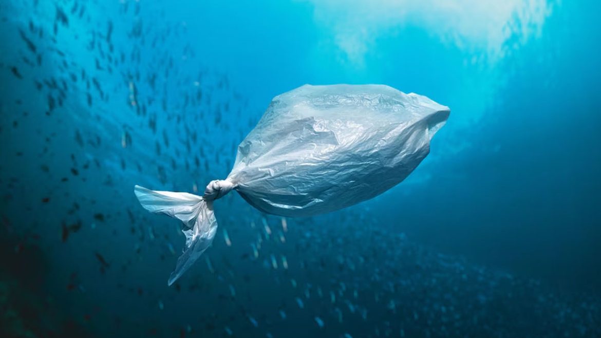 Vivere senza plastica